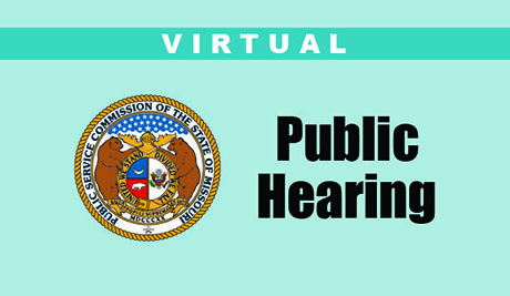 Local Public Hearings